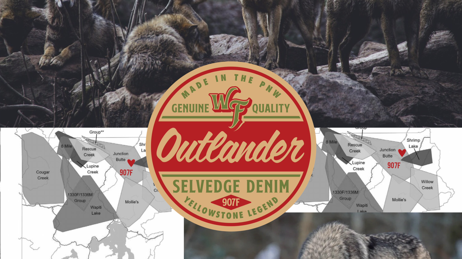 The Outlander – Dedicated to Yellowstone Legend, Wolf 907F