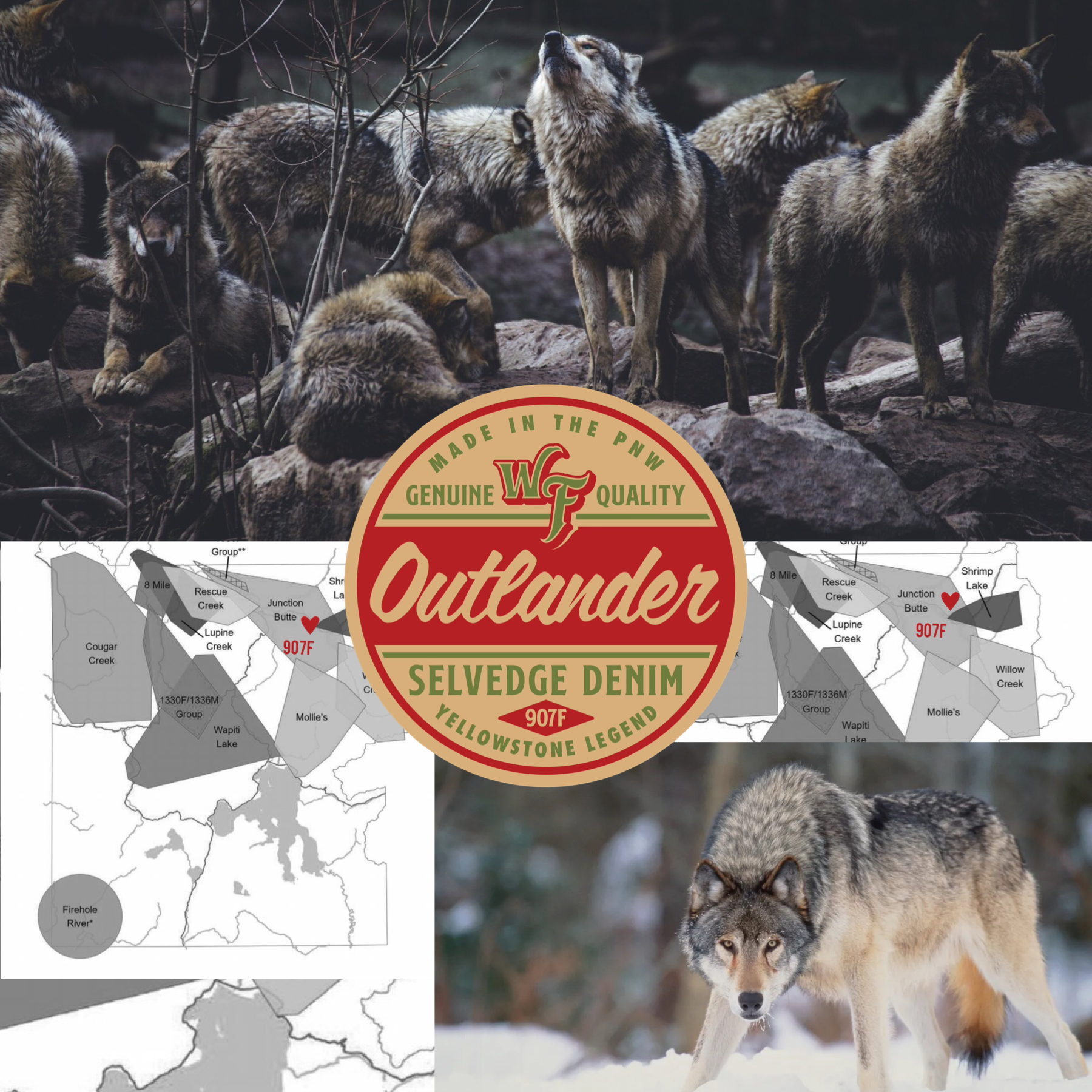 The Outlander – Dedicated to Yellowstone Legend, Wolf 907F